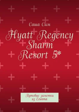 Саша Сим Hyatt Regency Sharm Resort 5*. Путевые заметки из Египта обложка книги