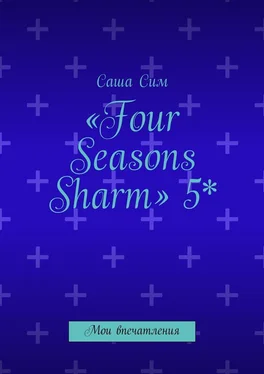 Саша Сим «Four Seasons Sharm» 5*. Мои впечатления обложка книги