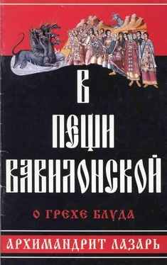 архимандрит Лазарь (Абашидзе) В пещи вавилонской. О грехе блуда обложка книги