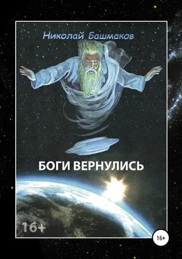 Николай Башмаков Боги вернулись обложка книги