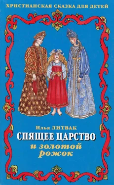 Илья Литвак Спящее царство и золотой рожок обложка книги