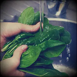 After purchase fresh herbs should be thoroughly rinsed off dust and dirt under - фото 15