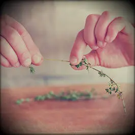 Fresh herbs choppingDepending on the purpose herbs can be fine chopped and - фото 17