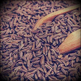 Caraway is one of the oldest spices in the world and it plays a significant - фото 32
