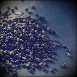 Cardamom has a strong but soft warm and sweet flavor and aroma with delicate - фото 34
