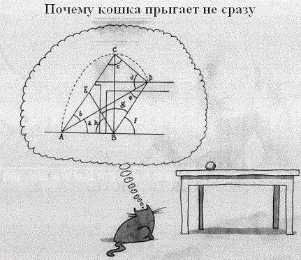 Как это проверить наверно ни один учёный не знает Но если это правда и - фото 9