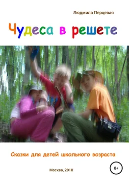 Людмила Перцевая Чудеса в решете. Сказки для детей школьного возраста обложка книги