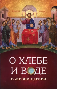 игумен Нектарий Морозов О хлебе и воде в жизни Церкви обложка книги