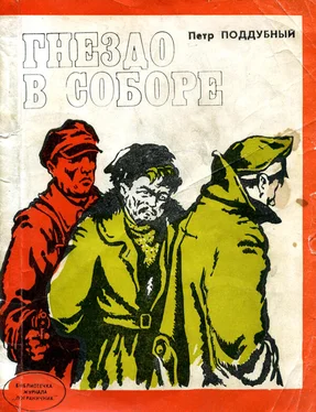 Пётр Поддубный Гнездо в соборе обложка книги