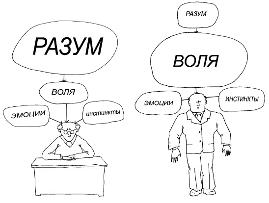 И наоборот бывают сверхволевые люди с минимальным уровнем развития Разумом - фото 6