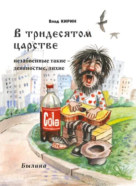 Влад Кирин В тридесятом царстве обложка книги