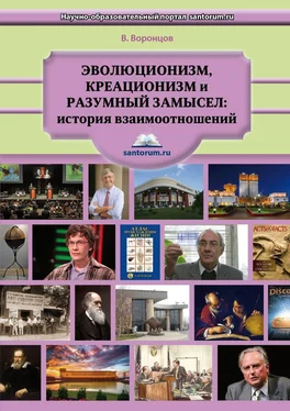 Владимир Воронцов Эволюционизм, креационизм и разумный замысел: история взаимоотношений обложка книги