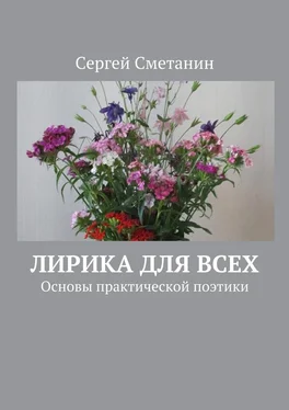 Сергей Сметанин Лирика для всех. Основы практической поэтики обложка книги