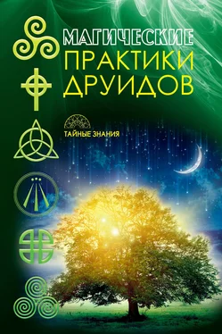 Коллектив авторов Магические практики друидов обложка книги