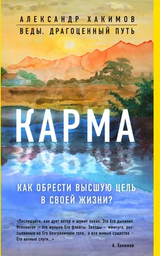 Александр Хакимов Карма. Как обрести высшую цель в своей жизни? обложка книги