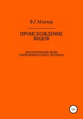 Виктор Мэллер - Происхождение видов