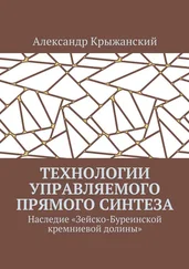 Александр Крыжанский - Технологии управляемого прямого синтеза. Наследие «Зейско-Буреинской кремниевой долины»