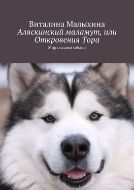 Виталина Малыхина Аляскинский маламут, или Откровения Тора. Мир глазами собаки обложка книги