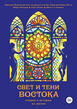 Швета Соланки Свет и тени Востока. Очерки и истории из жизни обложка книги