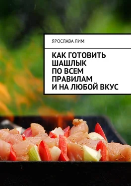 Ярослава Лим Как готовить шашлык по всем правилам и на любой вкус обложка книги