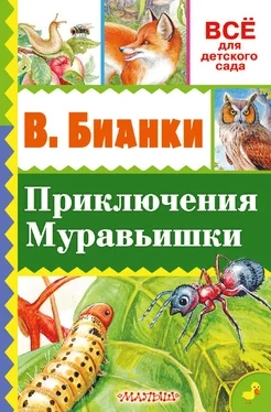 Виталий Бианки Приключение Муравьишки (сборник) обложка книги