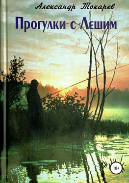 Александр Токарев Прогулки с Лешим обложка книги