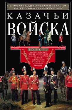 Владимир Казин Казачьи войска обложка книги