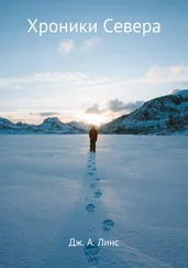 Дж. А. Линс - Хроники Севера