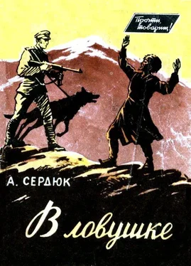 Александр Сердюк В ловушке обложка книги