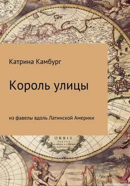 Катрина Камбург Король улицы: из фавелы вдоль Латинской Америки обложка книги