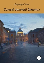 Варвара Элек - Самый важный дневник