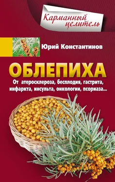 Юрий Константинов Облепиха от атеросклероза, бесплодия, гастрита, инфаркта, инсульта, онкологии, псориаза… обложка книги