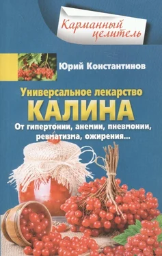 Юрий Константинов Универсальное лекарство калина. От гипертонии, анемии, пневмонии, ревматизма, ожирения… обложка книги