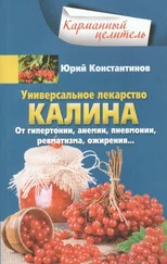 Юрий Константинов - Универсальное лекарство калина. От гипертонии, анемии, пневмонии, ревматизма, ожирения…