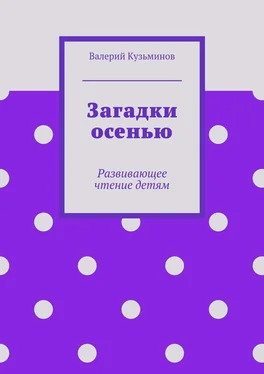 Валерий Кузьминов Загадки осенью обложка книги