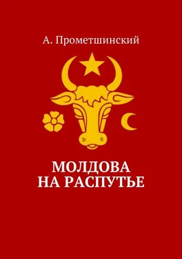 А. Прометшинский Молдова на распутье обложка книги