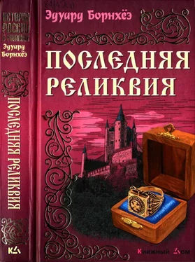 Эдуард Борнхёэ Последняя реликвия обложка книги