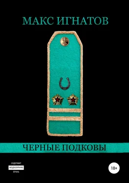 Макс Игнатов Черные подковы обложка книги