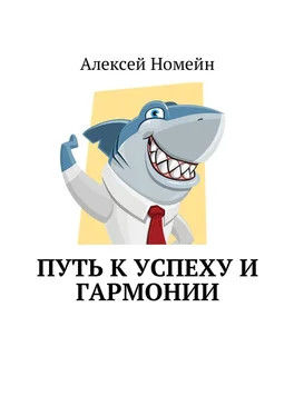 Алексей Номейн Путь к успеху и гармонии обложка книги