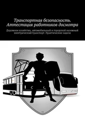 Коллектив авторов - Транспортная безопасность. Аттестация работников досмотра