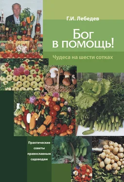 Геннадий Лебедев Бог в помощь. Чудеса на шести сотках обложка книги