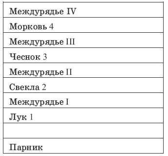 Поясню свои расчеты подробнее Посадили допустим вы в 2004 году в грядку 1 - фото 3