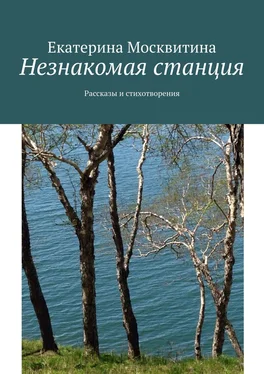 Екатерина Москвитина Незнакомая станция. Рассказы и стихотворения обложка книги