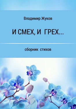Владимир Жуков И смех, и грех… Сборник стихов обложка книги
