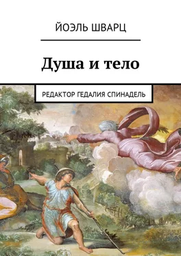 Йоэль Шварц Душа и тело обложка книги