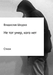 Владислав Шкурко - Не тот умер, кого нет. Сборник стихотворений