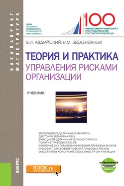 Вячеслав Безденежных Теория и практика управления рисками организации обложка книги