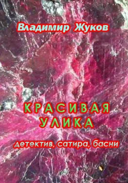 Владимир Жуков Красивая улика обложка книги