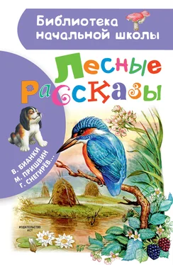 Константин Ушинский Лесные рассказы обложка книги