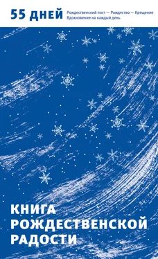 Александр Логунов Книга Рождественской радости. 55 дней. Рождественский пост – Рождество – Крещение. Вдохновение на каждый день обложка книги